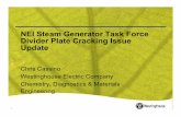 NEI Steam Generator Task Force Divider Plate Cracking ... · – Model 51 and Model 44F have DP that