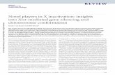 Novel players in X inactivation: insights into Xist ......The nuclear long noncoding RNA (lncRNA) Xist ensures X-chromosome inactivation (XCI) in female placental mammals. Although