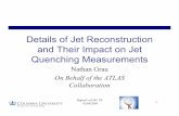 Details of Jet Reconstruction and Their Impact on Jet ...ncgrau/physics/talks/Grau_JetReco… · 02/06/2009 High-pT at LHC '09 1 Details of Jet Reconstruction and Their Impact on