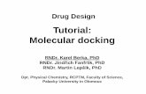 Tutorial: Molecular docking - Katedra fyzikální chemie UPOLfch.upol.cz/wp-content/uploads/2015/07/UK_DD... · Ligand Preparation – Autodock Tools 1. Start ADT or PMV program Line