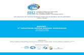 UN DECADE OF OCEAN SCIENCE FOR SUSTAINABLE … · 2020-03-09 · UN DECADE OF OCEAN SCIENCE FOR SUSTAINABLE DEVELOPMENT (2021-2030) st io PREPARED BY: Eileen Hofmann, Louise Biddle,