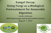 Fungal Gains: Using Fungi as a Biological Treatment for ...biogas.ifas.ufl.edu/Internships/2012/files/Johnson.pdf · Using Fungi as a Biological Pretreatment for Anaerobic Digestion