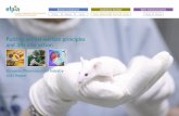 Putting animal welfare principles and 3Rs into action · 2017-01-12 · Putting animal welfare principles and 3Rs into action European Pharmaceutical Industry 2011 Report Pharmaceutical