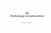 28. Pathologic keratinizationregulation of epidermal cell differentiation •cytokines –e.g. growth factors, interleukins, TNF •hormones –e.g. vit D3, cortisol •nutritional