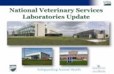 National Veterinary Services Laboratories Update...• Implemented luminex xMAP Salmonella Assay for molecular serotyping of Salmonella isolates 18 Safeguarding Animal Health • Collaborated