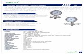 Schaﬀer's Diaphragm Pressure Gauge APPLICATION SDdeltainstruments.in/images/pdf/sd.pdf · 2019-12-11 · Note : Flanged Connections as per BS / ANSI / DIN etc standards with or