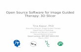 Open Source Software for Image Guided Therapy: 3D Slicerprojects.iq.harvard.edu/files/ncigt/files/2015_may_mit_hst_talk_tina_kapur.pdfOpen Source Software for Image Guided Therapy: