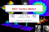 BEC Vortex Matter · • As the BEC spins, it begins to “flatten out” due to centrifugal forces • The higher the rotation rate becomes, the flatter the BEC gets • Approximate