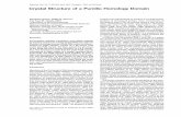 Molecular Cell, Vol. 7, 855–865, April, 2001, Copyright ...labs.icb.ufmg.br/lbcd/prodabi5/homepages/hugo/Hugo/Puf-revisao.pdf · translation of maternal hunchback (hbmat) mRNA in