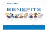 BENEFITS - Empire Cati.empire-cat.com/.../wp-content/uploads/2016/01/Metlife-Vision-Booklet.pdf · Understanding Your Vision Benefits. With MetLife Vision you get benefits for a wide