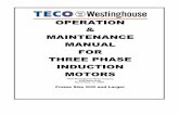 OPERATION MAINTENANCE MANUAL FOR THREE ......OPERATION & MAINTENANCE MANUAL FOR THREE PHASE INDUCTION MOTORS TECO-Westinghouse Motor Company 5100 North IH-35 Round Rock, Tx. 78681