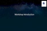 Workshop Introduction...2019/11/12  · GNOSIS Future Programme Future Programme -Workshops • SSA Technologies –Optical (passive and active) –Hyperspectral –IR –RF –ISAR