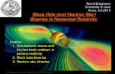 Numerical Relativity of Black Holes€¦ · B. Brügmann, University of Jena, SFB/Transregio 7  Theory and Observation