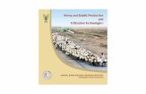 Sheep and Rabbit Production Book 2012 PDF and Rabbit Production Book 2012.pdf · This compilation is an archive of technologies developed on sheep and rabbit production and utilization