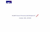 Half Year Financial Report June 30, 2018...ACTIVITY REPORT – HALF YEAR 2018 I CAUTIONARY STATEMENT REGARDING FORWARD-LOOKING STATEMENTS AND THE USE OF NON- GAAP FINANCIAL MEASURES