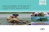 Use of algae and aquatic macrophytes as feed in …Use of algae and aquatic macrophytes as feed in small-scale aquaculture A review by Mohammad R. Hasan Aquaculture Management and