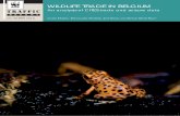 An analysis of CITES trade and seizure data · 2018-11-12 · Flaming Poison-arrow frog Oophaga pumilio WILDLIFE TRADE IN BELGIUM An analysis of CITES trade and seizure data Louisa