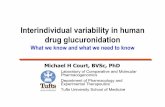 Interindividual variability in human drug glucuronidation...Interindividual variability in human drug glucuronidation What we know and what we need to know Laboratory of Comparative