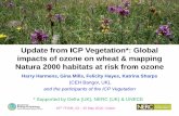 Update from ICP Vegetation*: Global impacts of …...Update from ICP Vegetation*: Global impacts of ozone on wheat & mapping Natura 2000 habitats at risk from ozone Harry Harmens,