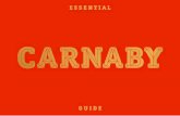 carnaby essential guide 2012 Contents · on trend fashion essentials from jeans and tees to accessories and dresses. 020 7734 4477, 3-4 carnaby Street ... lines We are replay and