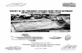 GEOLOGY OF THE LOWERMOST VENANGO GROUP (UPPER … · 2 days ago · Guidebook for the PITTSBURGH GEOLOGICAL SOCIETY SPRING FIELD TRIP June 16, 1984 Geology of the Upper Devonian Venango