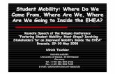 Student Mobility: Where Do We Come From, Where Are We ...€¦ · tertiary education along ˝globalisation ˛, increasing ˝competition between HEIs and the ˝rat race ˛ for being