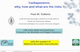 Carbapenems: why, how and what are the risks...Dec 11, 2015  · Carbapenems: why, how and what are the risks ? Paul M. Tulkens Unité de pharmacologie cellulaire et moléculaire &