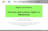Forests and carbon rights in Melanesia · Solomon Islands: Options for regulating carbon rights •Identify and record ownership of carbon rights under the Customary Land Records