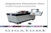 Gigatome Phantom One - Textalk · 2016-12-28 · Gigatome Phantom One Specimen sizes up to max. 200 x 300 x 70 mm Section thickness range between 0 µm and 1.000 µm Uncountable special