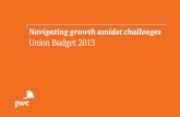 Navigating growth amidst challenges Union Budget 2013 · dedicated debt and mutual fund segments. With these announcements, the government is ... rules to distinguish the FII from
