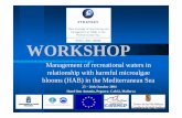 EVK3- 2001- 00046 WORKSHOP - ICM-CSIC · WORKSHOP Management of recreational waters in relationship with harmful microalgae blooms (HAB) in the Mediterranean Sea 25 – 26th October