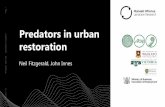 Predators in urban · o Possums, rats (ship and Norway), cats, hedgehogs, mustelids •In three habitat types o Residential areas, amenity parks, and “natural” reserves •Using