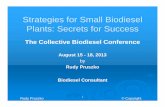 Strategies for Small Biodiesel Plants CBC€¦ · Plant Size and Cost Biodiesel Plant Budget Installed Cost 0 5,000,000 10,000,000 15,000,000 20,000,000 25,000,000 30,000,000 0 5