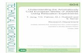 T. Jung, T.N. Palmer, M.J. Rodwell and S. Serrar Research ... · 604 Understanding the Anomalously Cold European Winter of 2005/06 Using Relaxation Experiments T. Jung, T.N. Palmer,