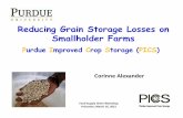 Reducing Grain Storage Losses on Smallholder Farms...Direct Impact of Insect damage Quantitative loss- weight loss Qualitative loss - toxins, taste, smell Indirect Impact of Insect