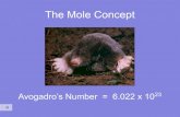 The Mole Concept - mssmithsechs.weebly.com · The Mole Concept Avogadro’s Number = 6.022 x 1023. Counting Atoms •Chemistry is a quantitative science - we need a "counting unit."