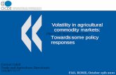 Volatility in agricultural commodity markets · Click to edit Master subtitle style 20/10/10 Volatility in agricultural commodity markets: Carmel Cahill Trade and Agriculture Directorate