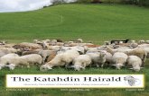 The Katahdin Hairald€¦ · ¬Contact Operations for current rates and spec sheet. 479-444-8441, info@katahdins.org Classifieds - Classified sale ads for Katahdin or Katahdin-cross