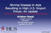 Shrimp Disease in Asia Resulting in High U.S. Import ...Shrimp Disease in Asia Resulting in High U.S. Import Prices: An Update Kristen Reed Industry Analyst IPP/OPLC IPP Discussion