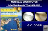 MENISCAL SUBSTITUTES SCAFFOLD AND TRANSPLANT...CLINICAL EVIDENCE Correct indications : cronic pain for patients who has lost graeter than 50 % of the meniscus , but still has an intact