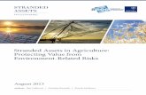 Stranded Assets in Agriculture: Protecting Value from … · 2015-03-23 · Stranded Assets in Agriculture: Protecting Value from Environment-Related Risks 3 The Programme is led