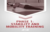PHASE 1: STABILITY AND MOBILITY TRAINING · 2020-03-06 · A basic illustration of this relationship is presented in Figure 1. For these reasons, stability and mobility are the cornerstones