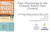 Pain Physiology in the Chronic Pelvic Pain Context Pain Physiology in the Chronic Pelvic Pain Context