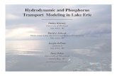 Hydrodynamic and Phosphorus Transport Modeling in Lake Erieathena.uwindsor.ca/users/k/kgd/LEMN302.nsf/54ef3e94e5fe... · 2006-04-03 · Hydrodynamic and Phosphorus Transport Modeling