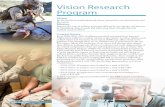 Vision Research Programsubstitution device to efficiently scan, focus, and “see” objects of interest in different depth planes while simultaneously eliminating background clutter.