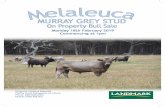 Richard & Christine Metcalfe...No Melaleuca animals have been hoof trimmed and the herd is annually pregnancy tested. Vaccinations All calves are vaccinated with 7:1 at calf marking