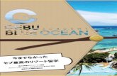 Blue...CEBU BLUE OCEAN CONTACT US Cebu Blue Ocean Academy Address : EGI Hotel Bldg5 2nd floor, Maribago, Lapu-Lapu City, Cebu 6015 Tel : +63-32-888-9868 E-mail : cebu.blue.ocean@gmail.com