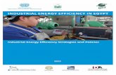 UNIDO’s program and projectieeegypt.org/wp-content/uploads/2017/01/UNIDO-IEE-policy-report.pdf · analysis necessary to create strategies and policies and carry out efficient planning