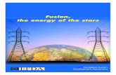 European Fusion Development Agreement · L a r ge power plants are needed to satisfy the increasing needs of large cities. Basically, only the core of a fusion re a c t o r ( r eactor