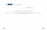 COMMISSION STAFF WORKING DOCUMENT Fitness Check - …ec.europa.eu/transport/sites/transport/files/modes/air/... · 2016-09-22 · EN EN EUROPEAN COMMISSION Brussels, 6.6.2013 SWD(2013)